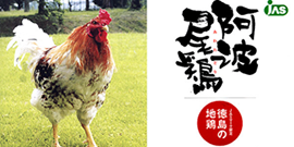 こだわりの地鶏 阿波尾鶏